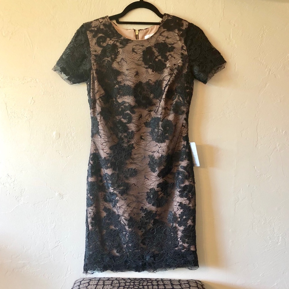 Dress the Population Lace Minidress